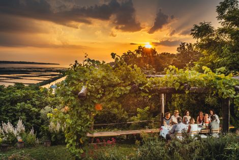 Gourmet Olive Tours